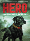 Cover image for Hero